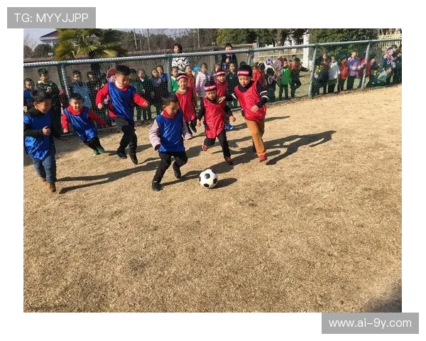 大一专项课能否选择足球作为选修课程及其相关政策解析